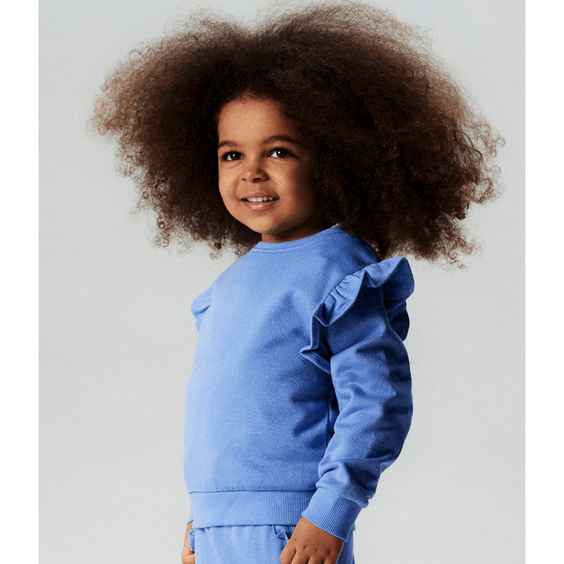 Name It Nmftilde sweatshirt til småbarn, Persian Jewel