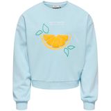 Hovedbilde Kids Only Kogterra Life sweatshirt til barn, ...